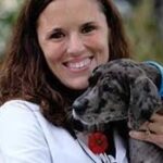 Woman veterinarian holding grey spotted dog.